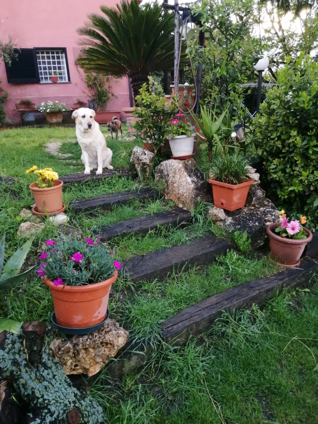 Immagine per Villa a schiera in vendita a Avigliano Umbro via Vocabolo San Savino 33