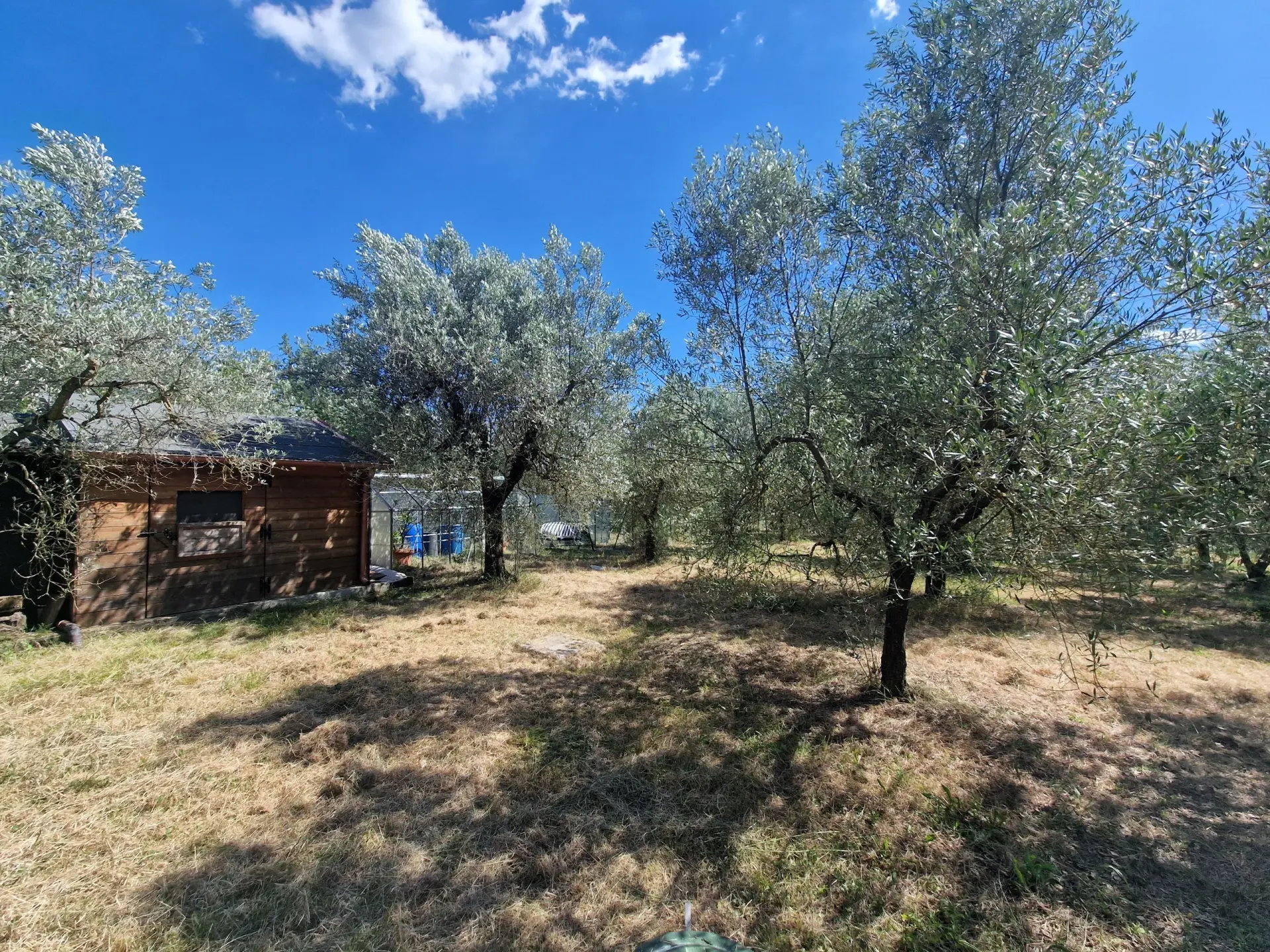 Immagine per Casale in vendita a Amelia strada Zamponare