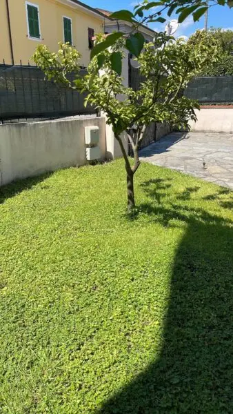 Terratetto via Rigazzo 1, Sarzana