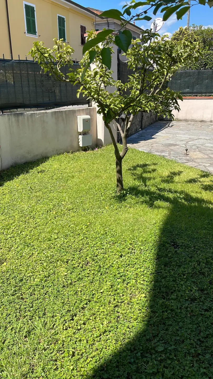 Immagine per Terratetto in vendita a Sarzana via Rigazzo 1