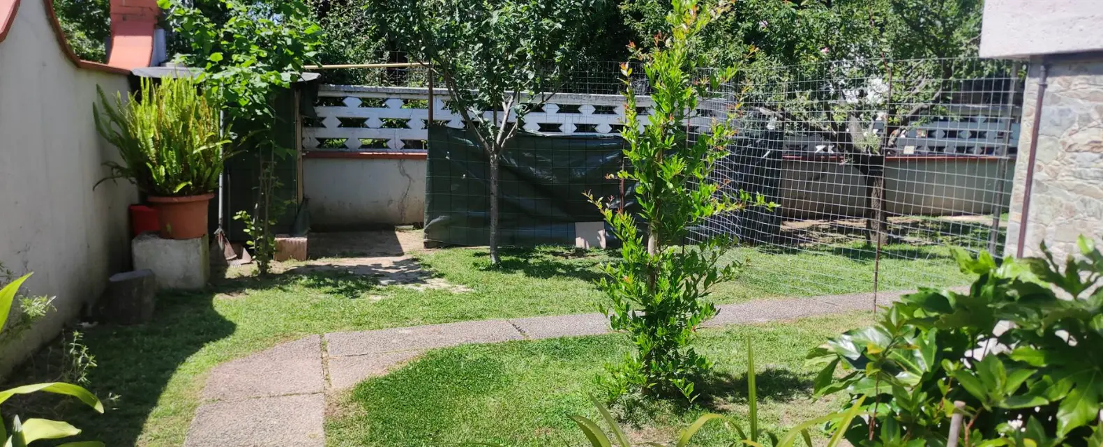 Immagine per Terratetto in vendita a Luni via Dogana 23