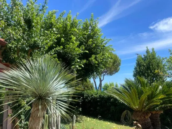 Villa via Del Taunus 33, Ancona