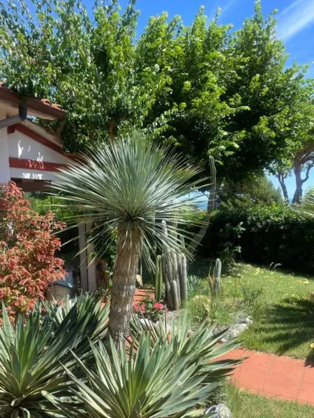Villa via Del Taunus 33, Ancona