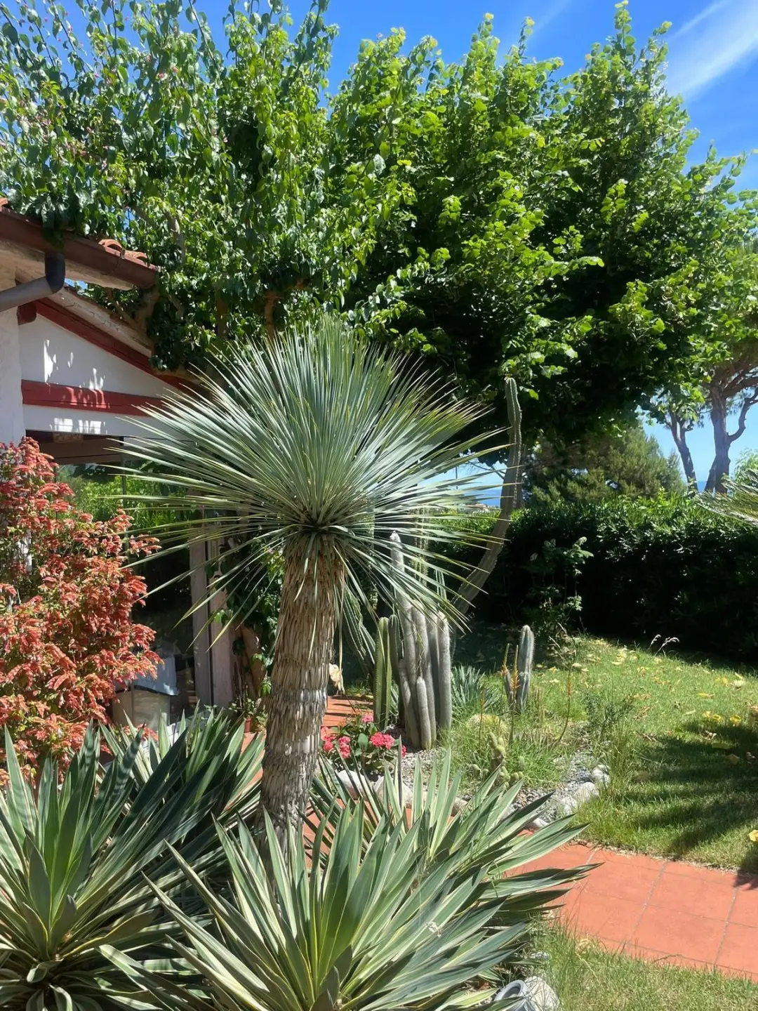 Immagine per Villa in vendita a Ancona via Del Taunus 33