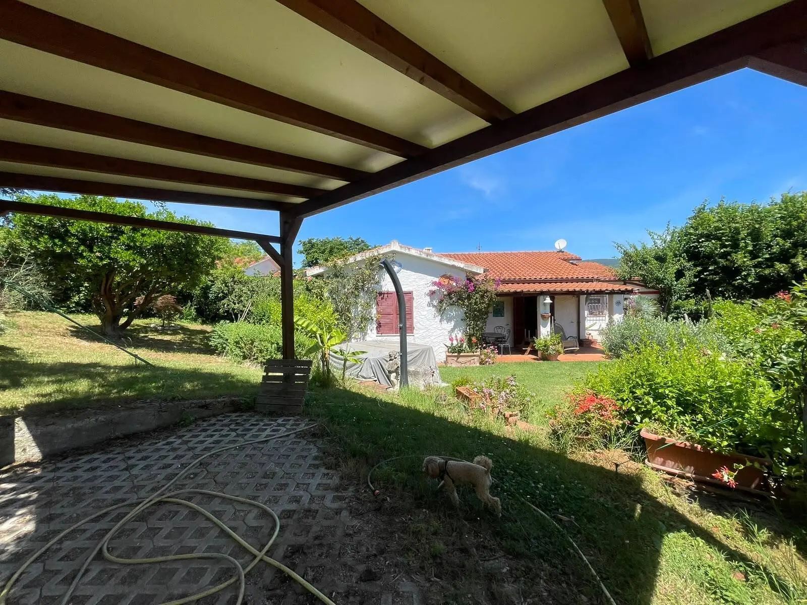 Immagine per Villa in vendita a Ancona via Del Taunus 33