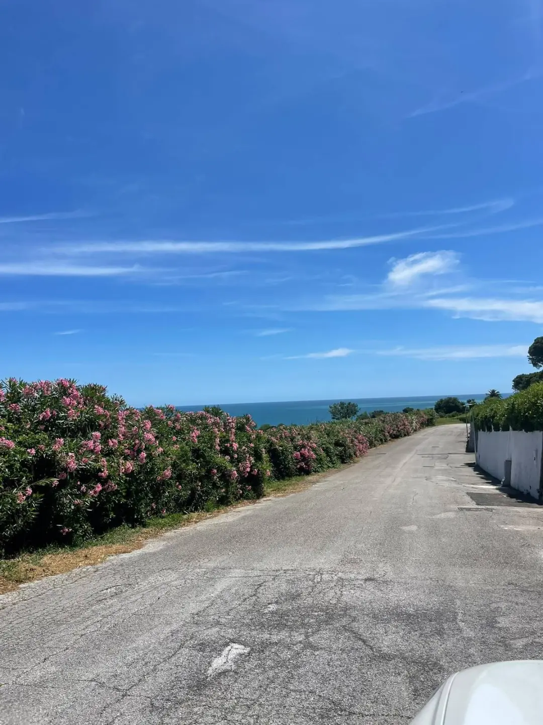 Immagine per Villa in vendita a Ancona via Del Taunus 33