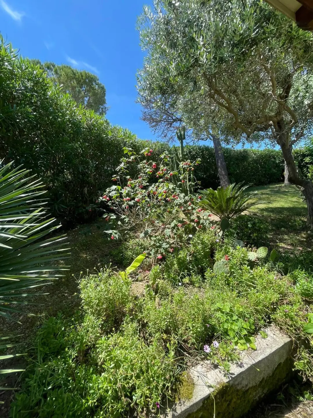 Immagine per Villa in vendita a Ancona via Del Taunus 33