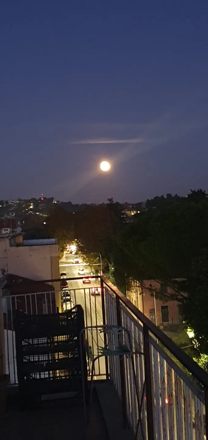 Immagine per Attico in vendita a Falconara Marittima via Giordano Bruno 27