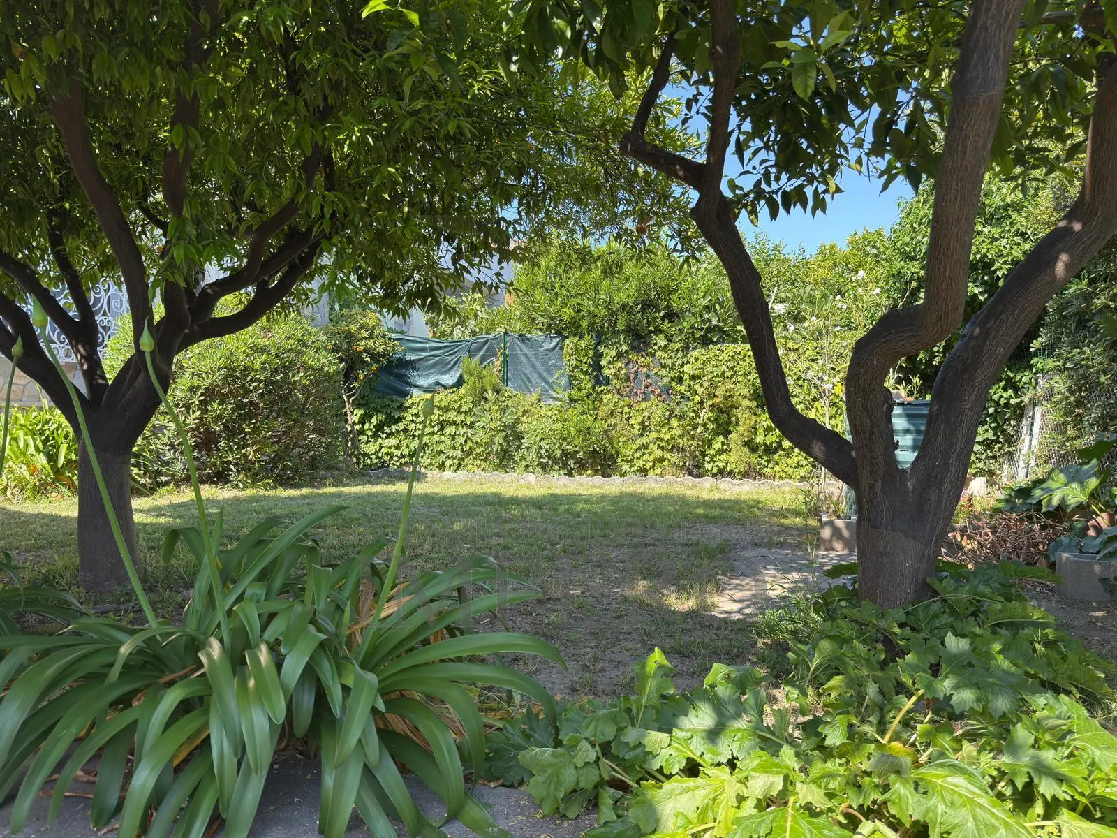 Immagine per Quadrilocale in vendita a Diano Castello via San Eugenio 7