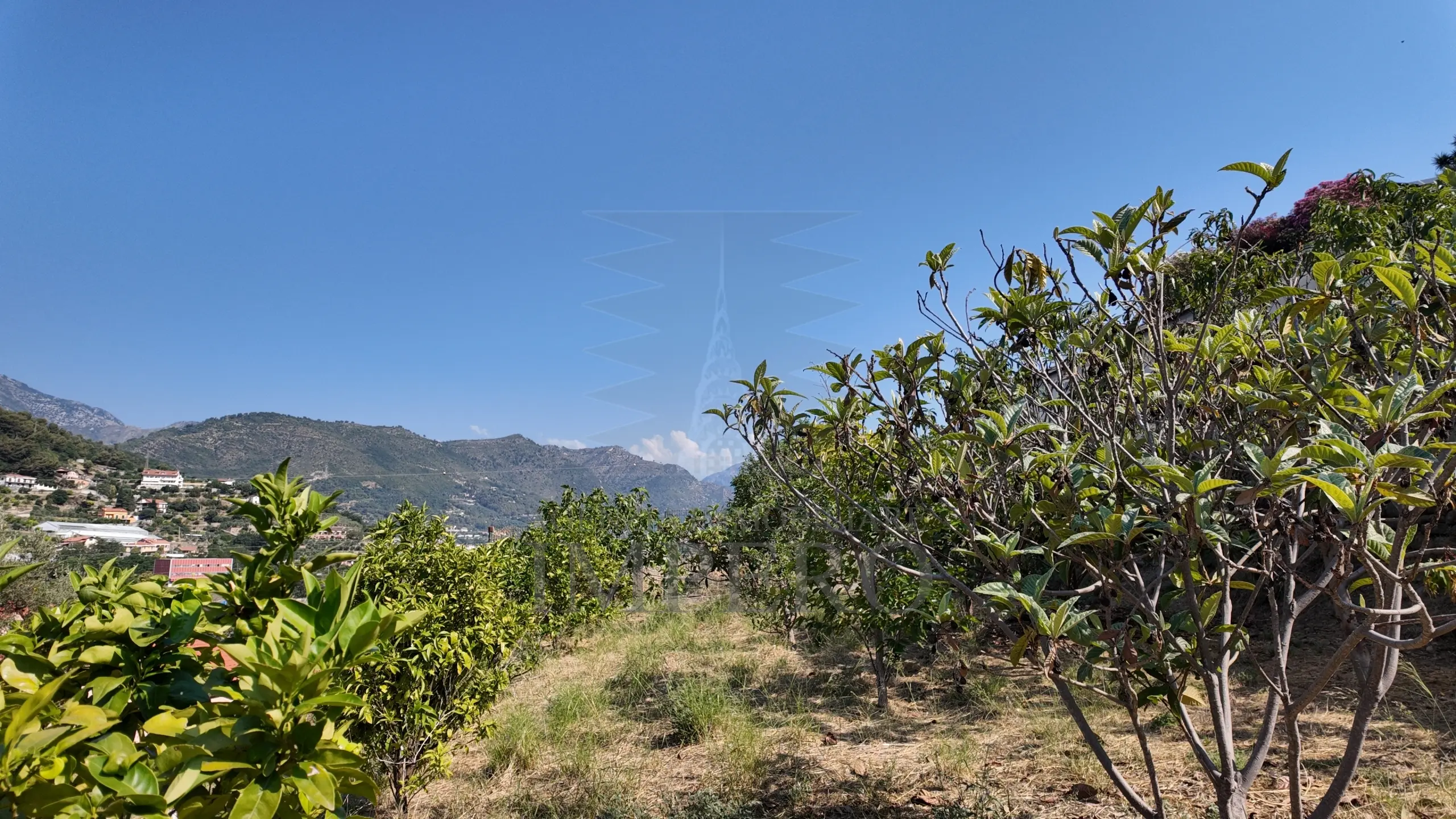 Immagine per Area verde in vendita a Ventimiglia corso Limone Piemonte