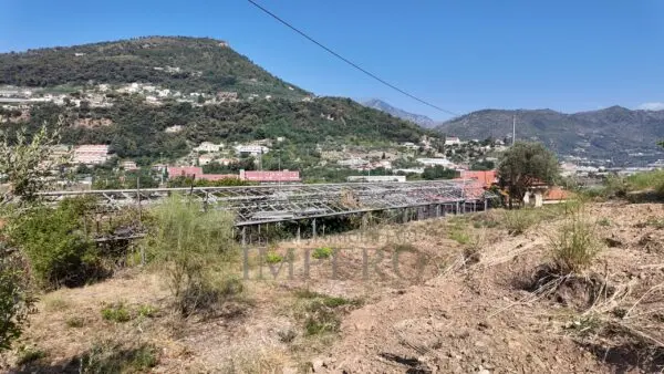 Immagine per Area verde in vendita a Ventimiglia corso Limone Piemonte