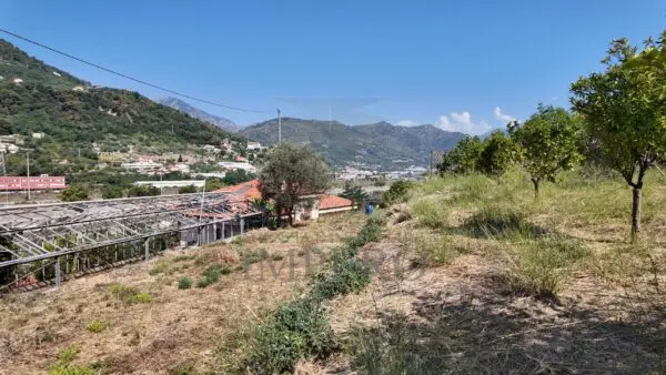 Area Verde corso Limone Piemonte, Ventimiglia