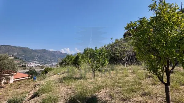 Area Verde corso Limone Piemonte, Ventimiglia