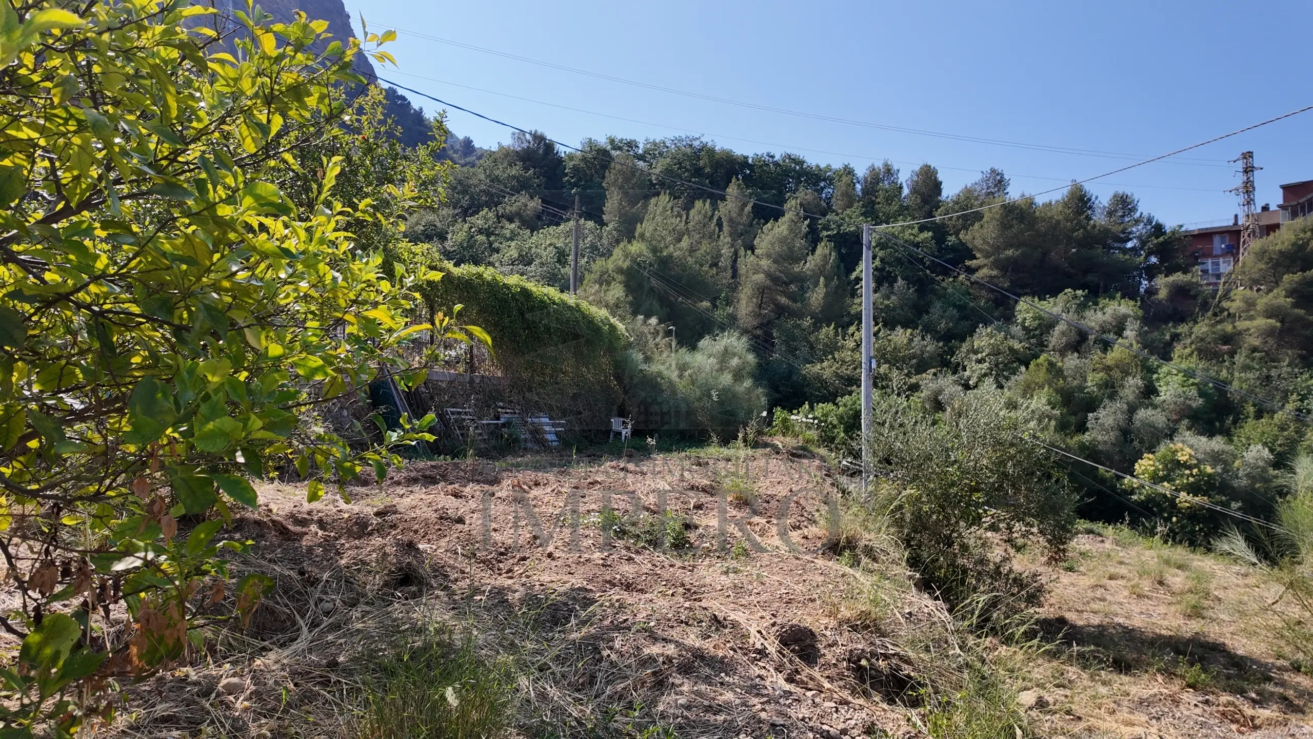Immagine per Area verde in vendita a Ventimiglia corso Limone Piemonte