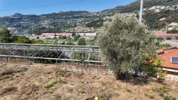 Immagine per Area verde in vendita a Ventimiglia corso Limone Piemonte