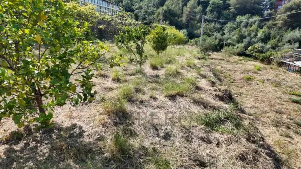 Immagine per Area verde in vendita a Ventimiglia corso Limone Piemonte