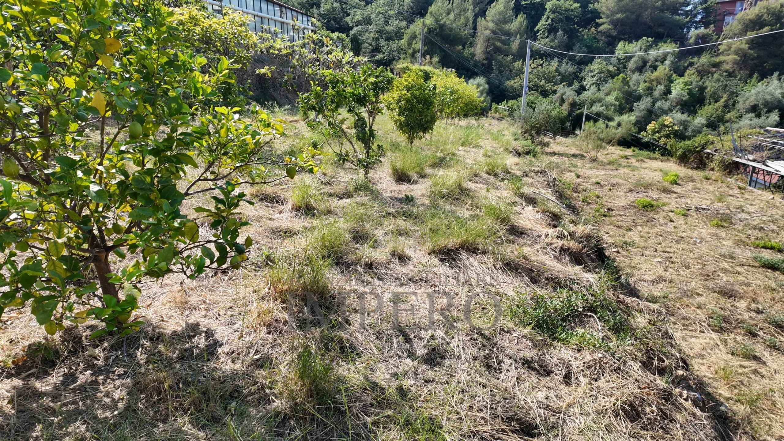 Immagine per Area verde in vendita a Ventimiglia corso Limone Piemonte