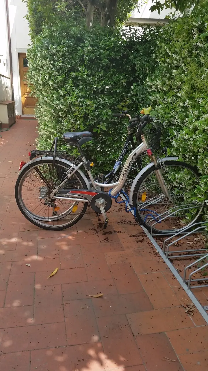 Immagine per Trilocale in vendita a Viareggio via Giusepper Giusti