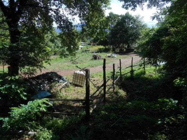 Villa via Francesco Ferraris, Sant'Anna, Lucca
