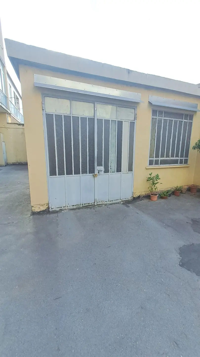 Immagine per Appartamento in vendita a Torino