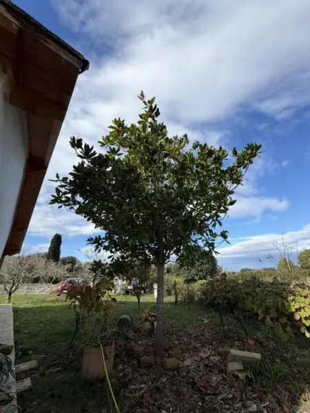 Rustico via Procoio Di Ceri 6, Ladispoli