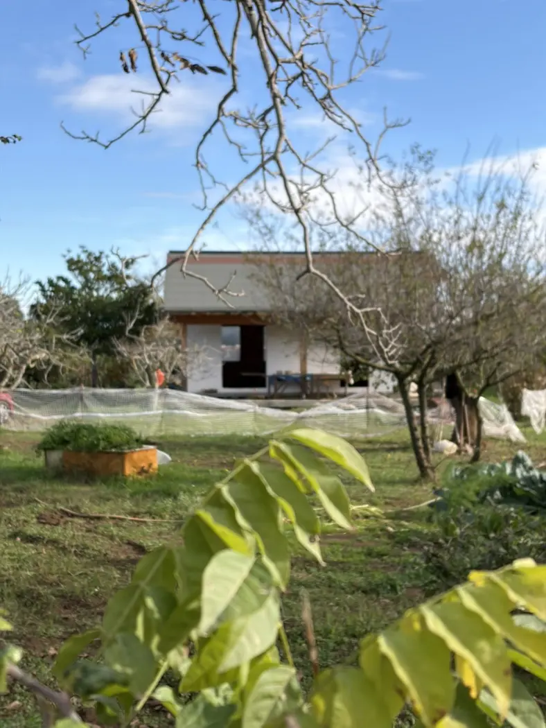 Immagine per Rustico in vendita a Ladispoli via Procoio Di Ceri 6