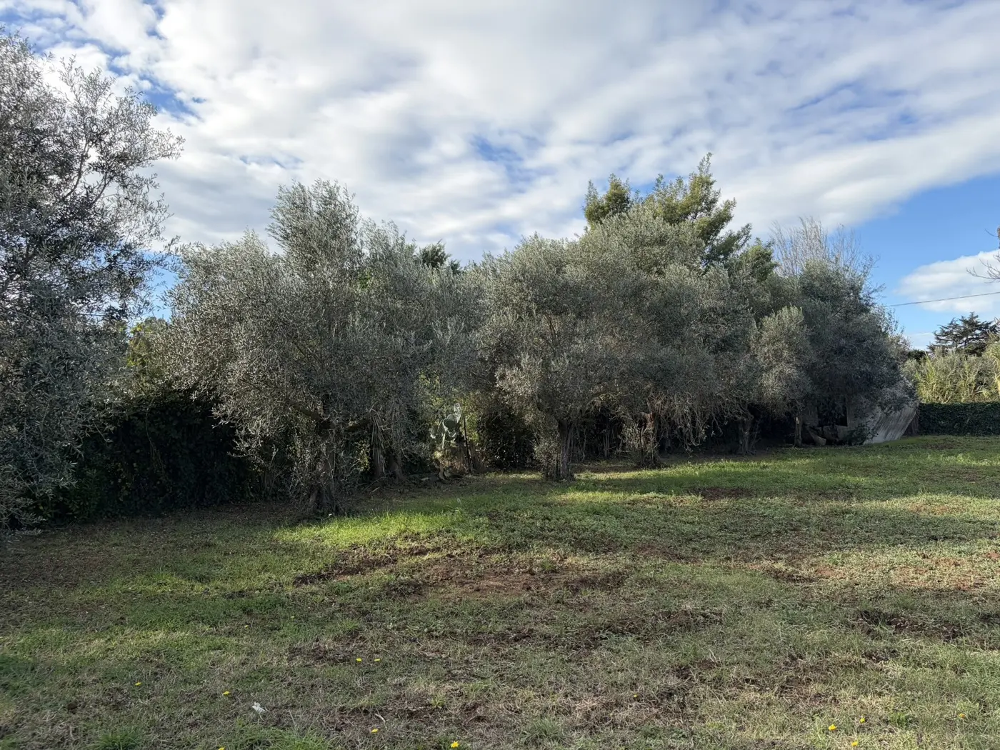 Immagine per Rustico in vendita a Ladispoli via Procoio Di Ceri 6
