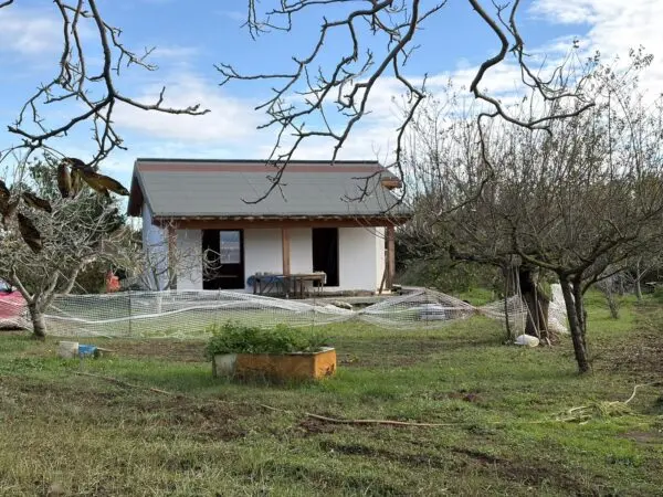 Rustico via Procoio Di Ceri 6, Ladispoli