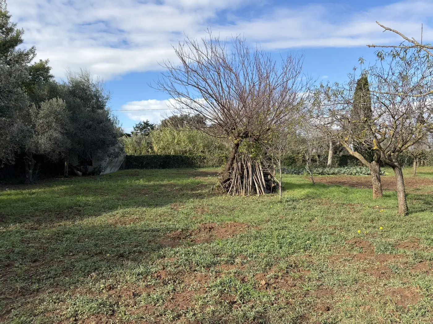 Immagine per Rustico in vendita a Ladispoli via Procoio Di Ceri 6