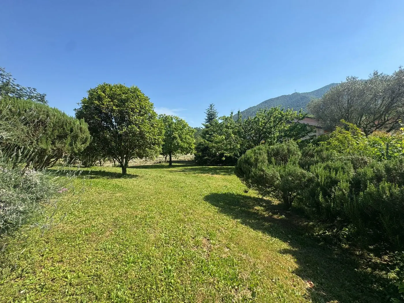 Immagine per Villa in vendita a Val della Torre via Alpignano