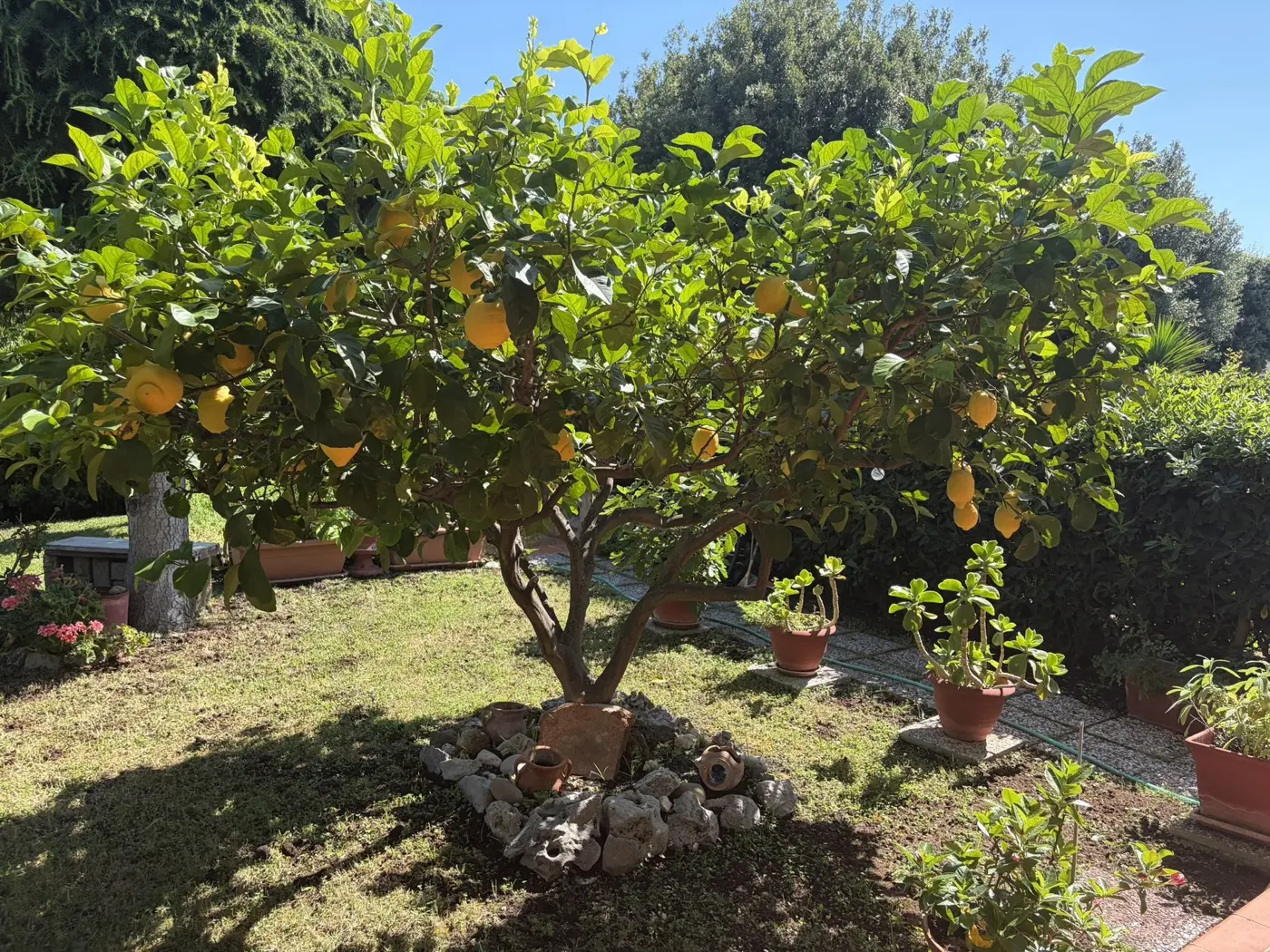Immagine per Villa quadrifamiliare in vendita a Cerveteri via Della Lega