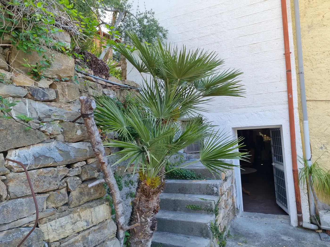 Immagine per Appartamento in vendita a Sanremo strada San Giovanni 158