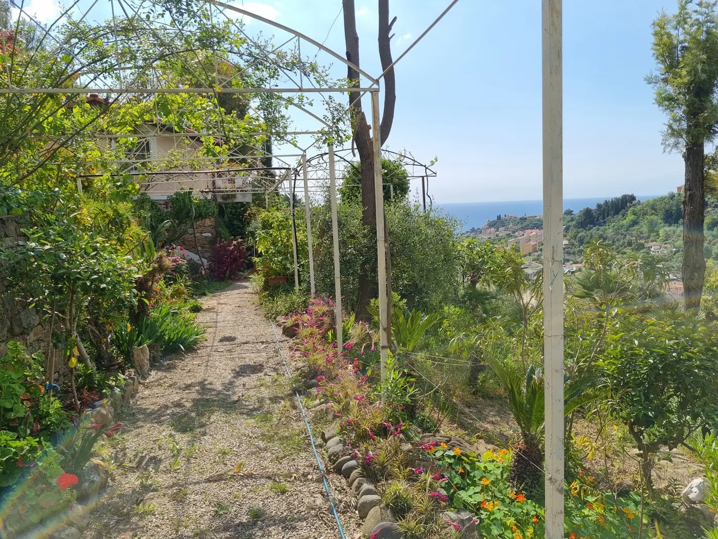 Immagine per Appartamento in vendita a Sanremo strada San Giovanni 158