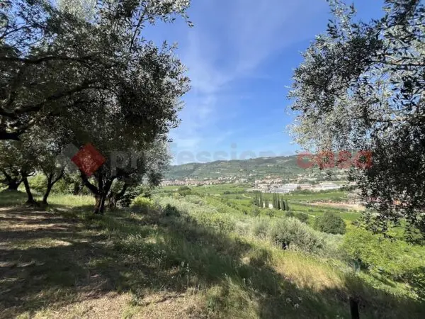 Terreno Agricolo via Della Collina 0, Verona