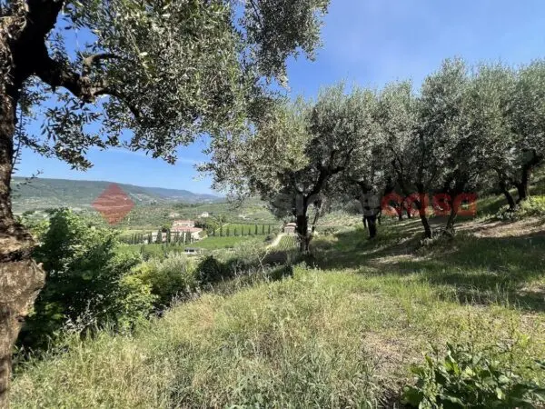 Terreno Agricolo via Della Collina 0, Verona