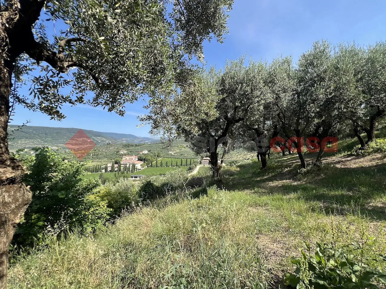 Immagine per Terreno Agricolo in vendita a Verona via Della Collina