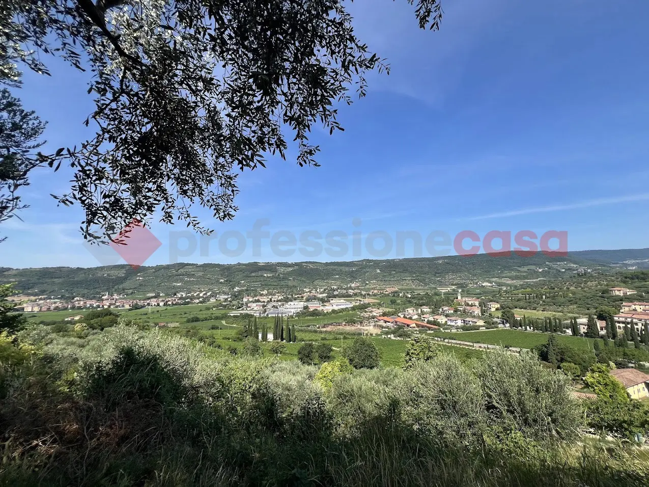 Immagine per Terreno Agricolo in vendita a Verona via Della Collina