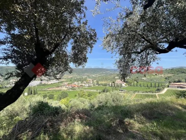 Terreno Agricolo via Della Collina 0, Verona