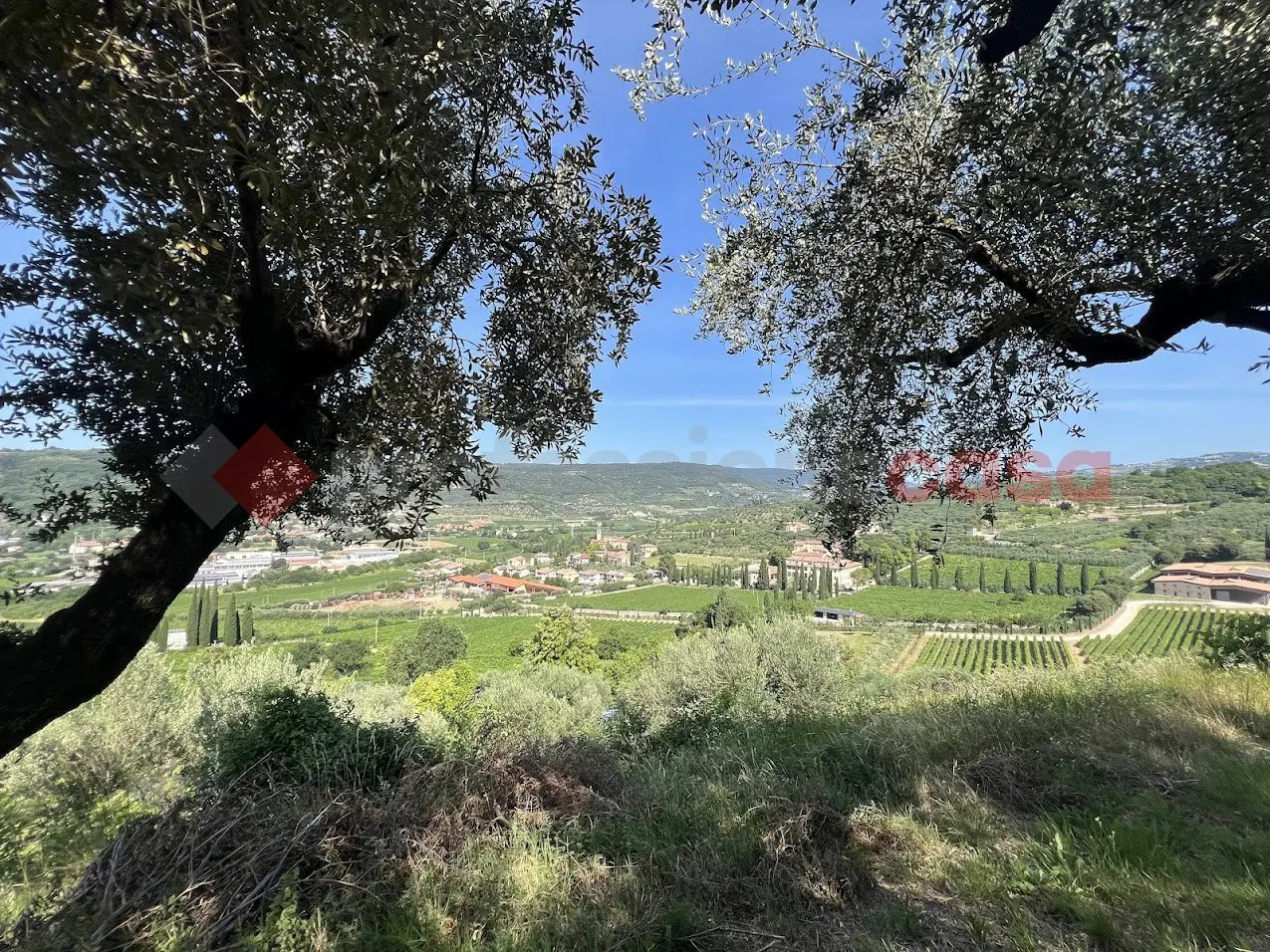Immagine per Terreno Agricolo in vendita a Verona via Della Collina