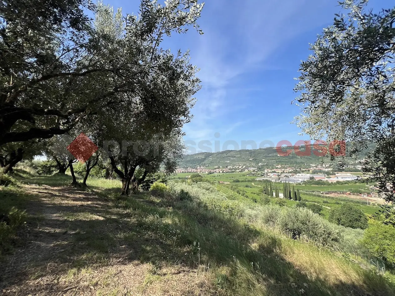 Immagine per Terreno Agricolo in vendita a Verona via Della Collina