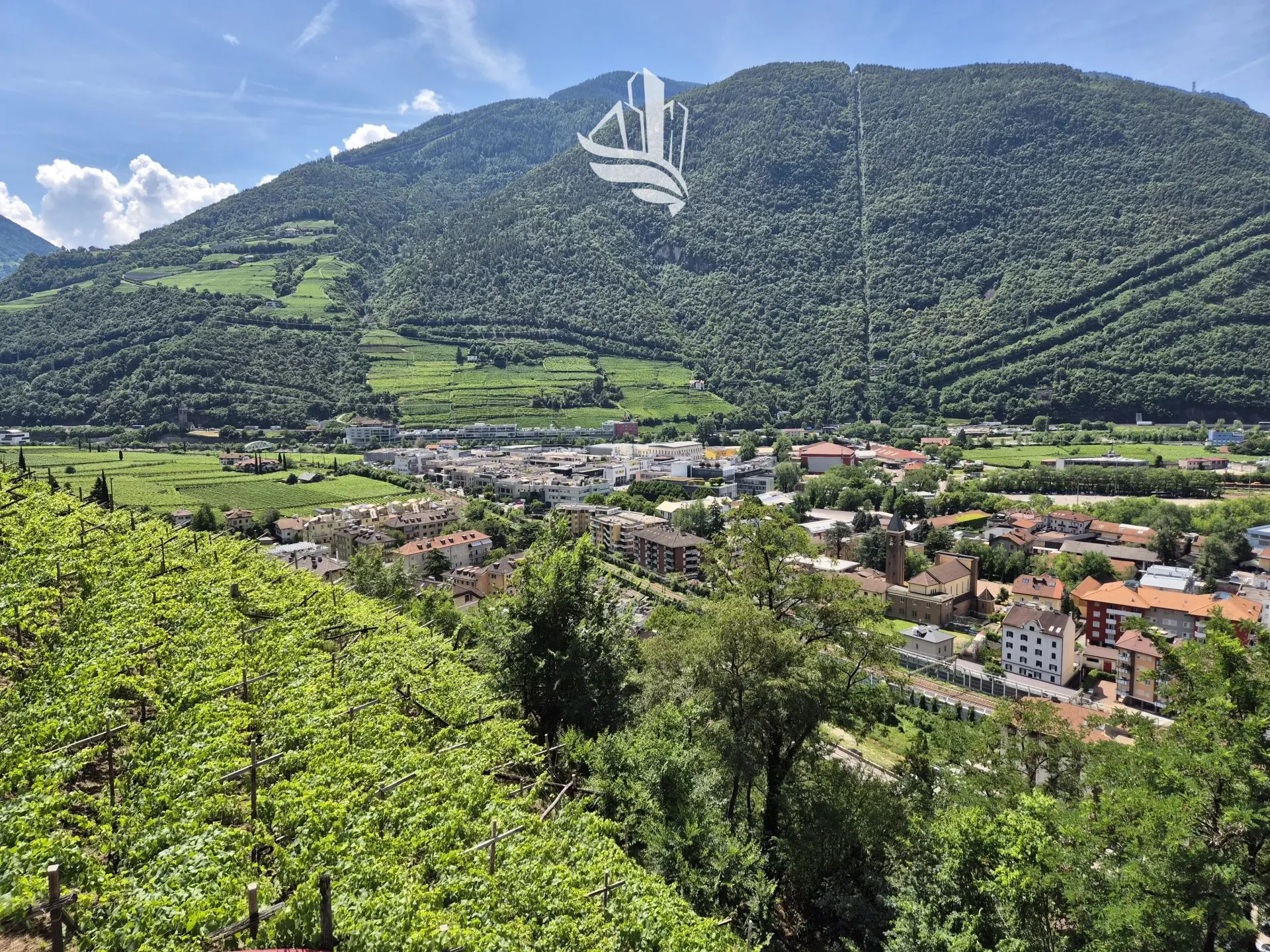 Immagine per Appartamento in vendita a Bolzano
