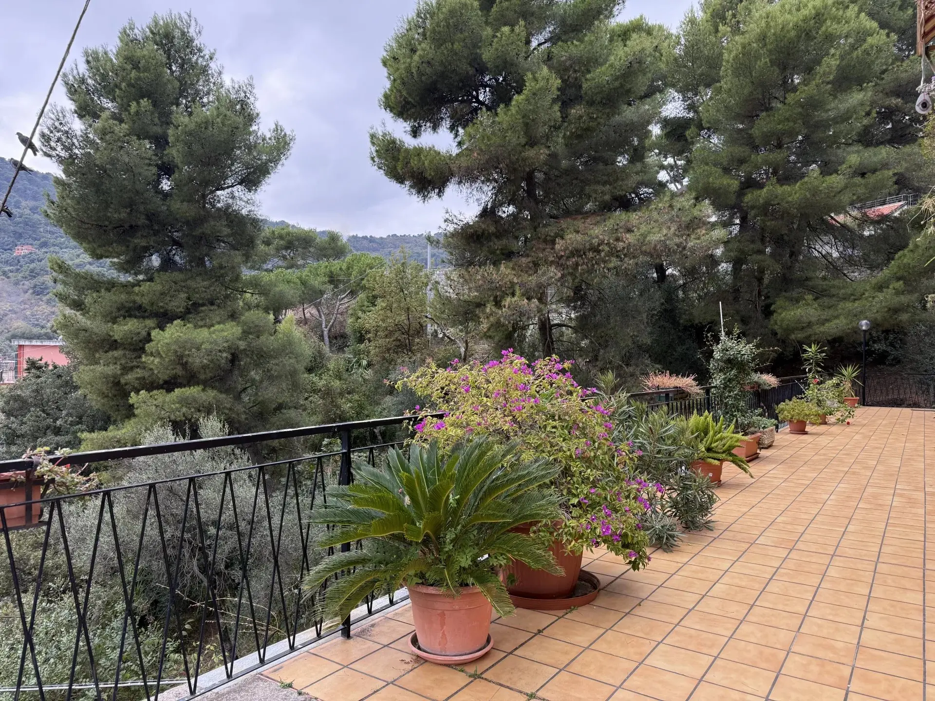 Immagine per Appartamento in vendita a Alassio via Neghelli