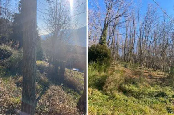 Terreno Agricolo via Madonna Delle Vigne, Genova