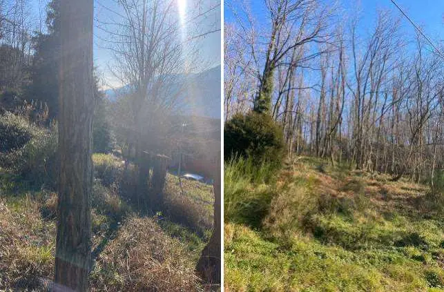 Immagine per Terreno agricolo in asta a Genova via Madonna Delle Vigne