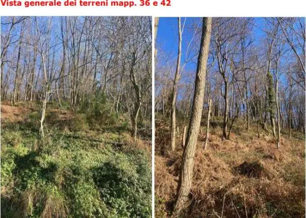 Terreno Agricolo via Madonna Delle Vigne, Genova