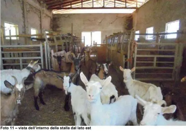 Terreno Agricolo via Madonna Delle Vigne, Genova