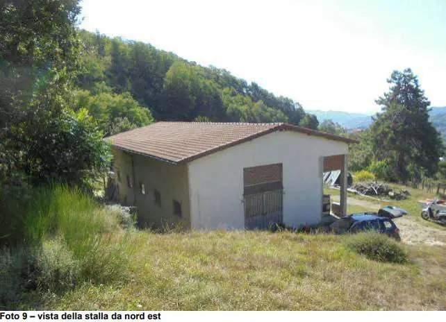 Immagine per Terreno agricolo in asta a Genova via Madonna Delle Vigne