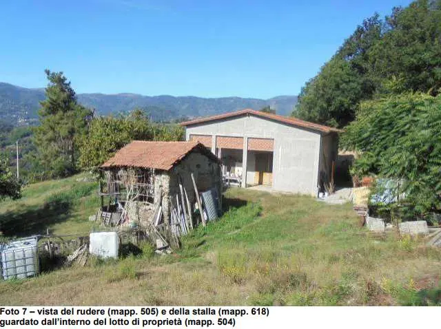 Immagine per Terreno agricolo in asta a Genova via Madonna Delle Vigne