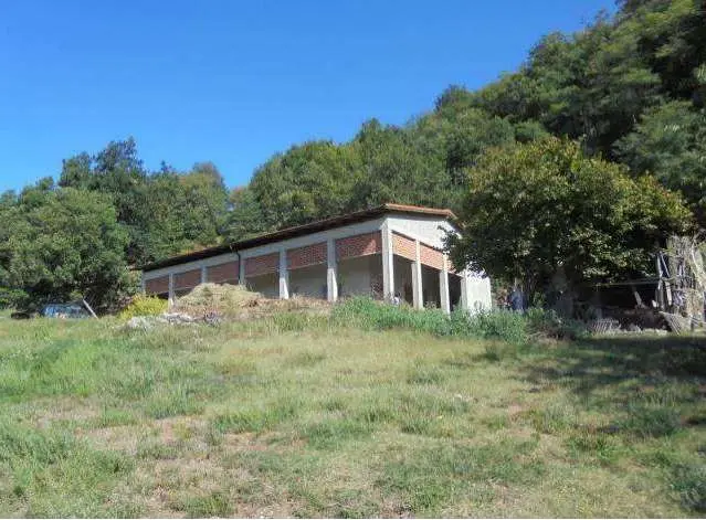 Immagine per Terreno agricolo in asta a Genova via Madonna Delle Vigne