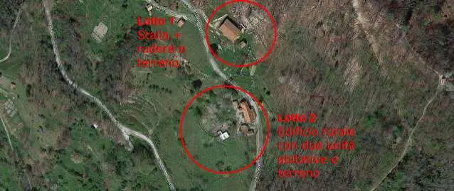 Immagine per Terreno agricolo in asta a Genova via Madonna Delle Vigne